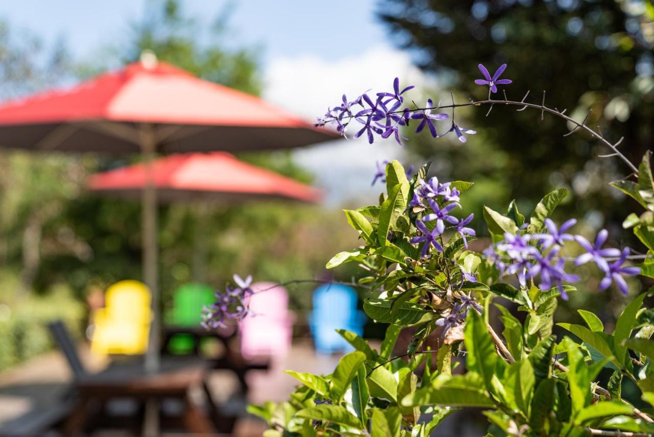 Julie'S Garden, Cingjing - Fon Chin Homestay Nhân Ái Ngoại thất bức ảnh